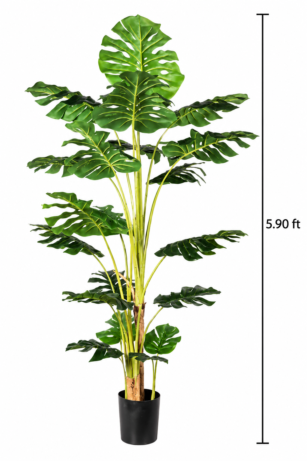 Faux Monstera Tree (5.91 ft H)