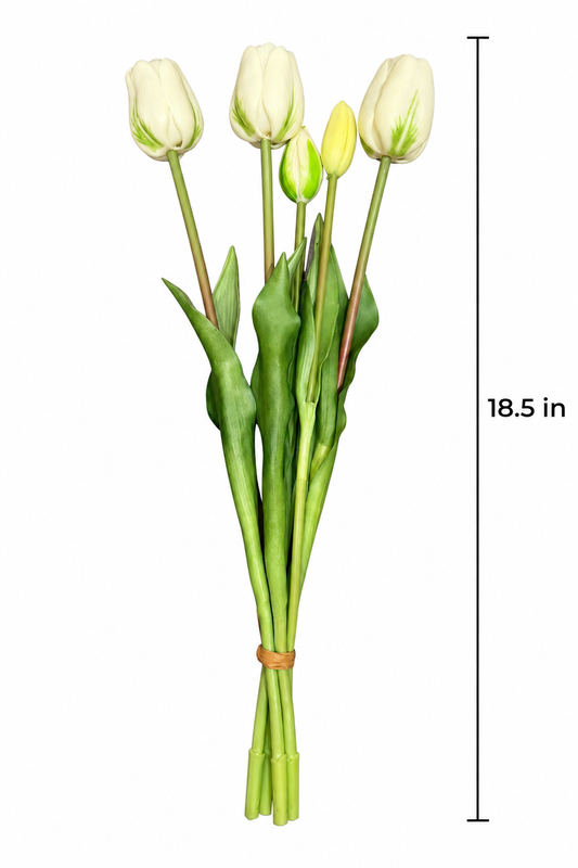 Faux White & Green 5-Head Tulip Stem (18.50 in H)