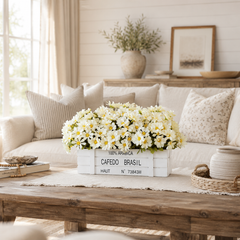 Ivory Daisy Fence Arrangement in White Wood Planter