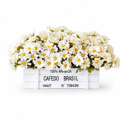 Ivory Daisy Fence Arrangement in White Wood Planter