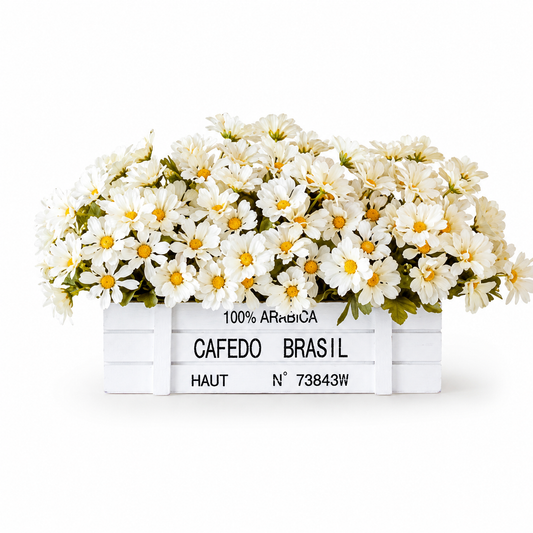 Ivory Daisy Fence Arrangement in White Wood Planter