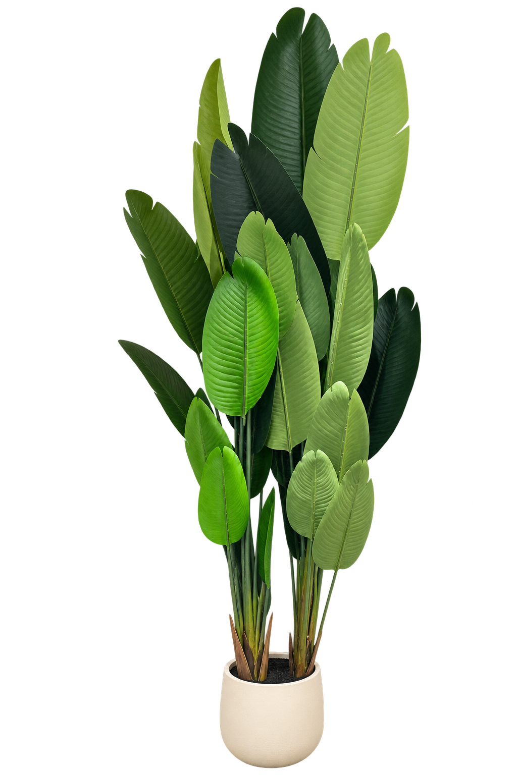 Faux Traveler's Palm (94.49" H)