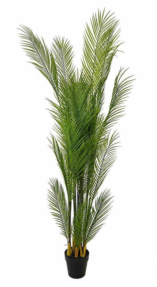 Faux Pygmy Date Palm (5.91 ft H)