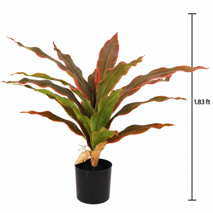 Faux Red Dracaena (1.85 ft H)