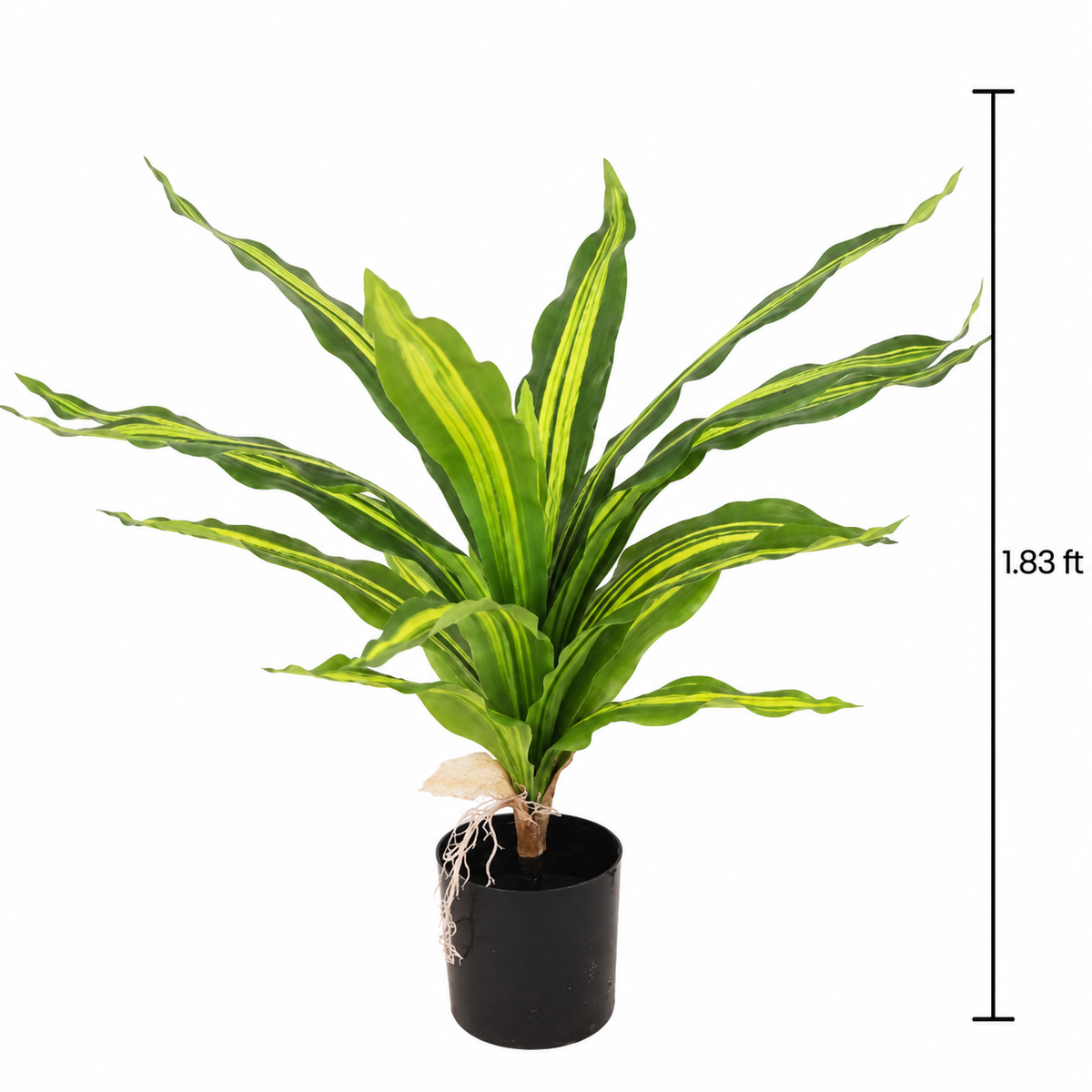 Faux Green Dracaena (1.85 ft H)