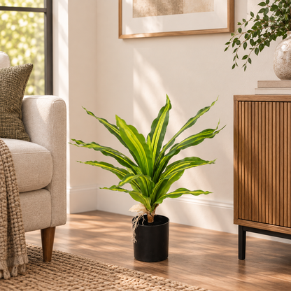 Faux Green Dracaena (1.85 ft H)