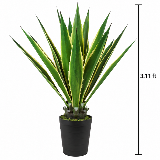 Faux Variegated Agave (3.11 ft H)