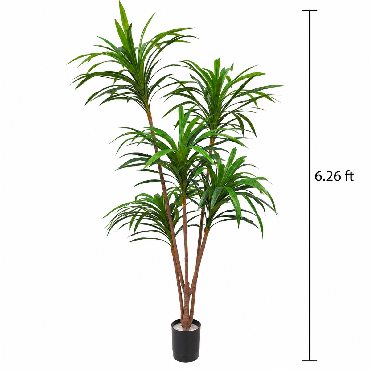 Faux 5-Head Broad Leaves Dracaena Tree (6.23 ft H)