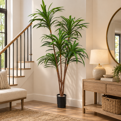Faux 5-Head Broad Leaves Dracaena Tree (6.23 ft H)