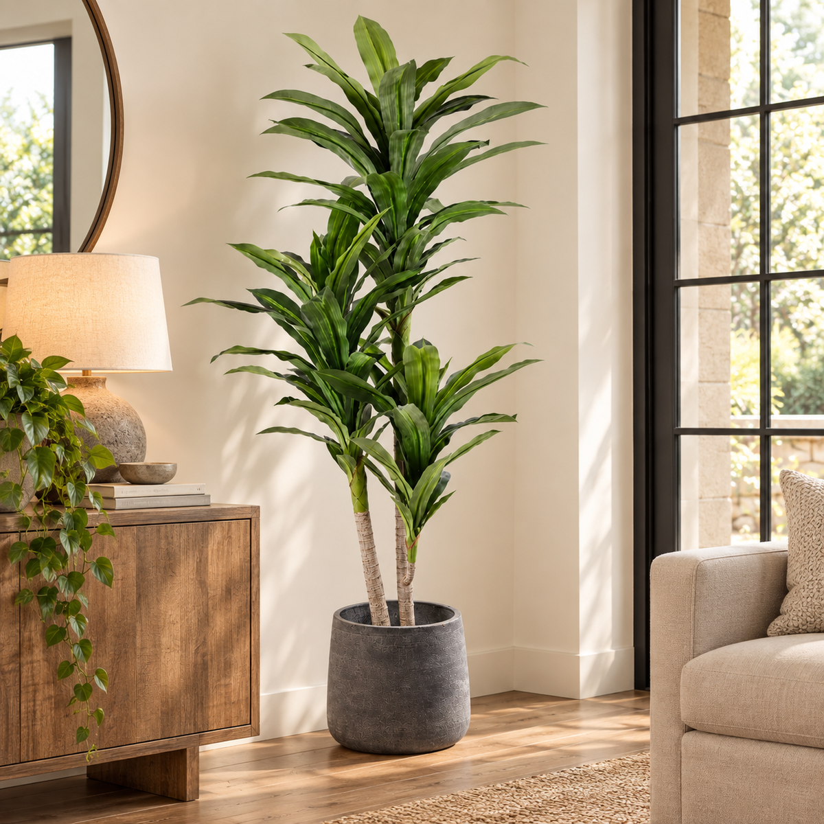 Faux Dracaena (5.25 ft H)