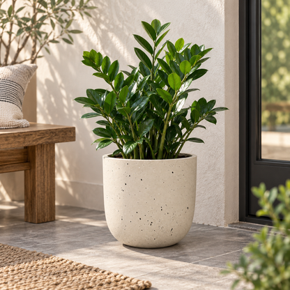 Beige Dotted Flower Pot (13.39"D×12.99"H)