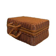 A Picnic Basket That Looks Like a Mini Suitcase-Effortless Charm, Lightweight Carry